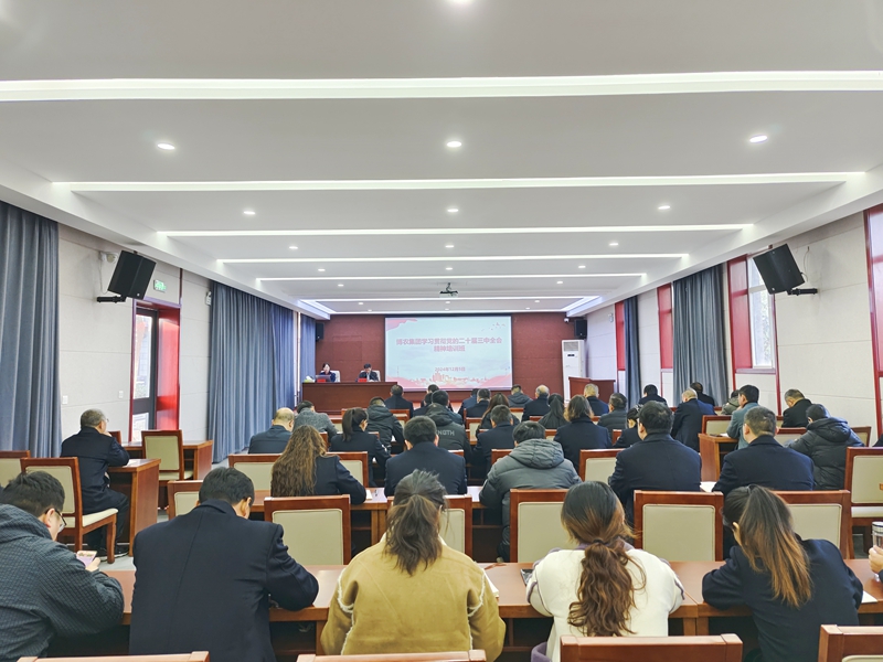 博農(nóng)集團召開黨的二十屆三中全會精神集中學習培訓